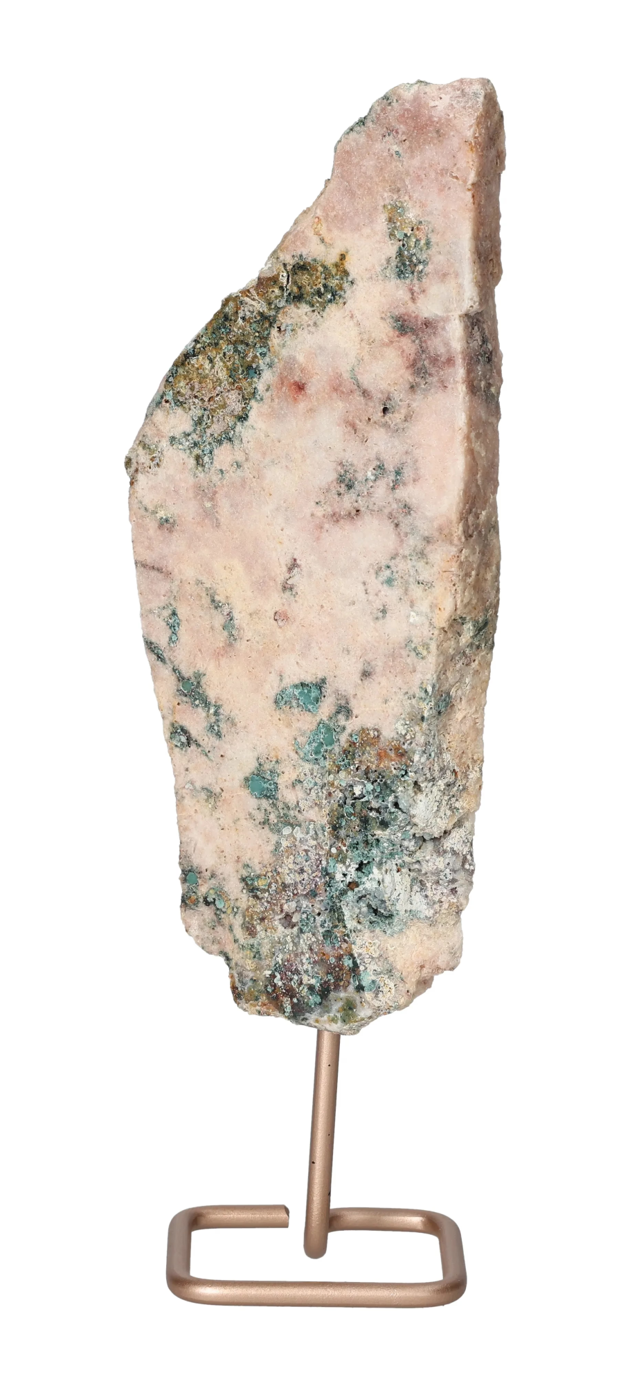 orbitvu|type:image2d