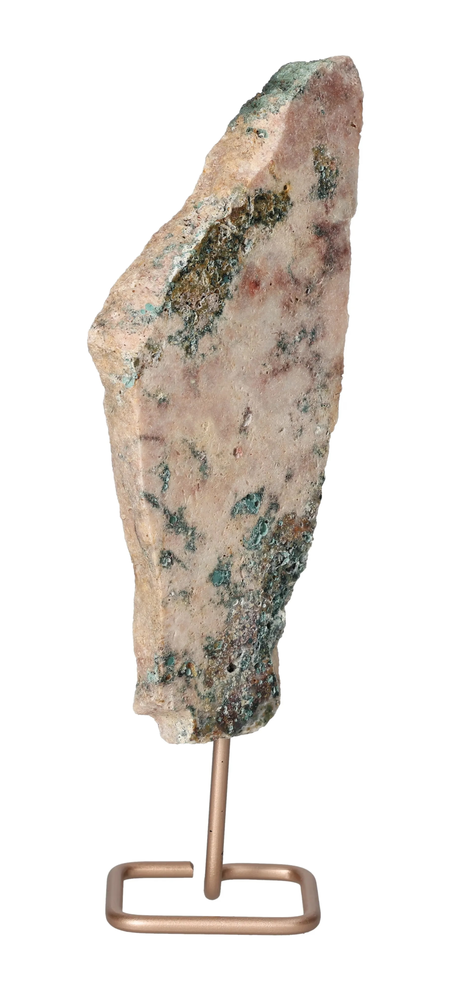 orbitvu|type:image2d