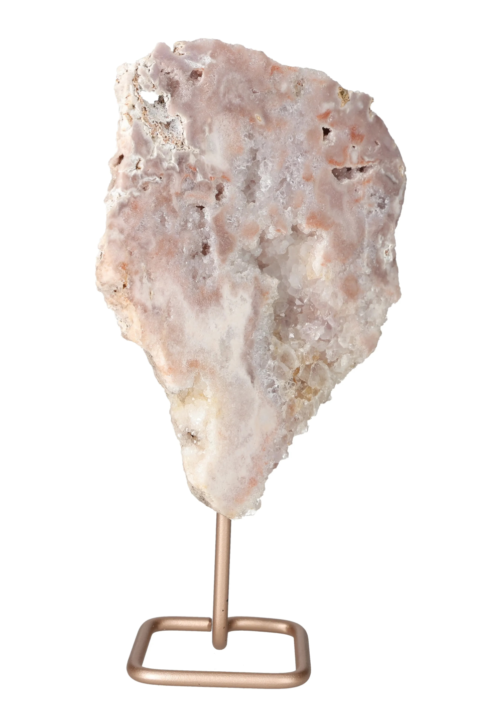 orbitvu|type:image2d