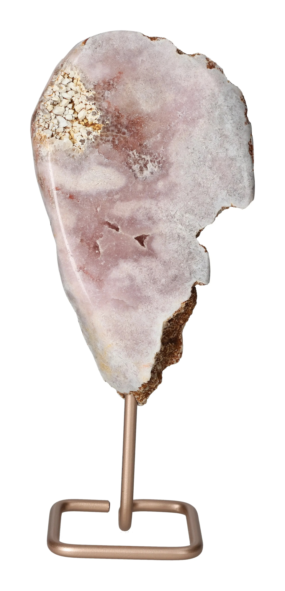 orbitvu|type:image2d