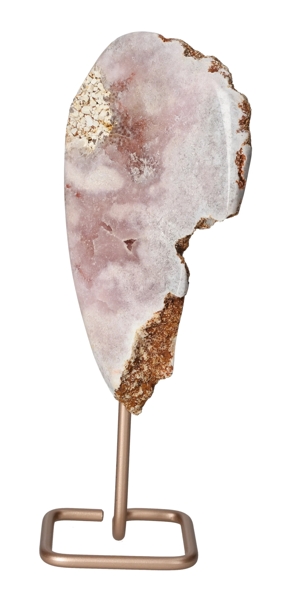 orbitvu|type:image2d