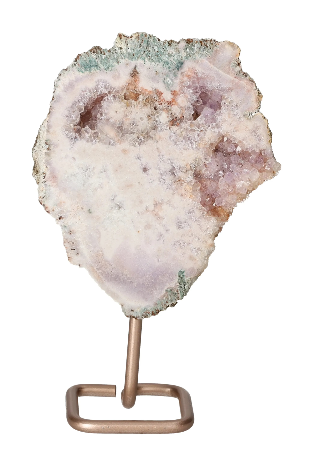 orbitvu|type:image2d