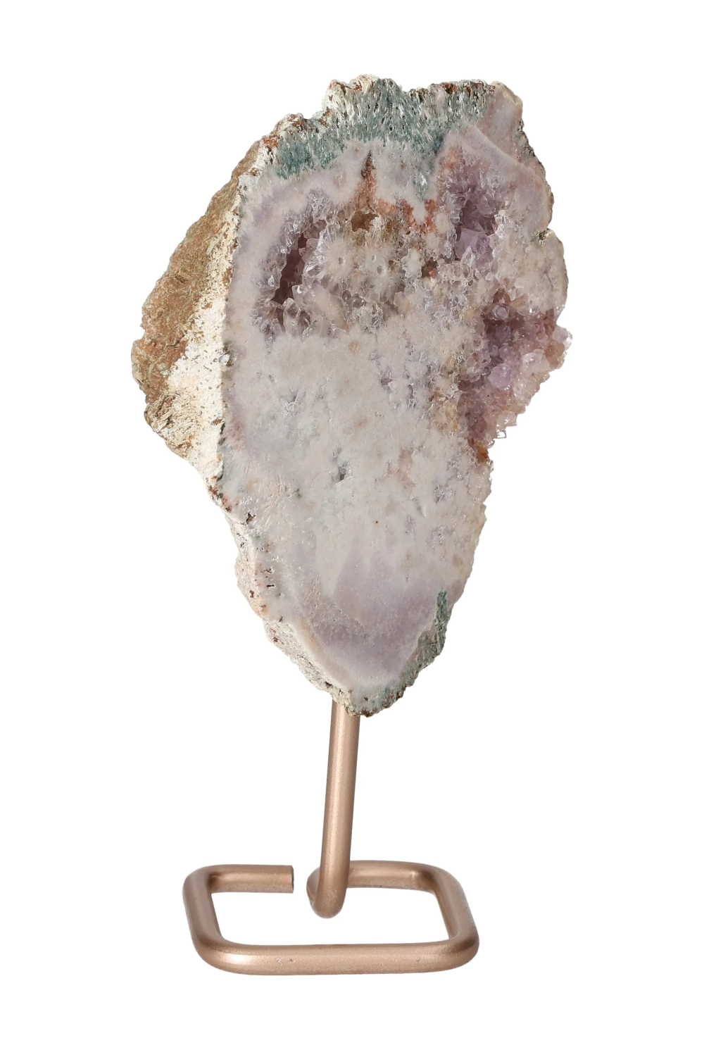 orbitvu|type:image2d