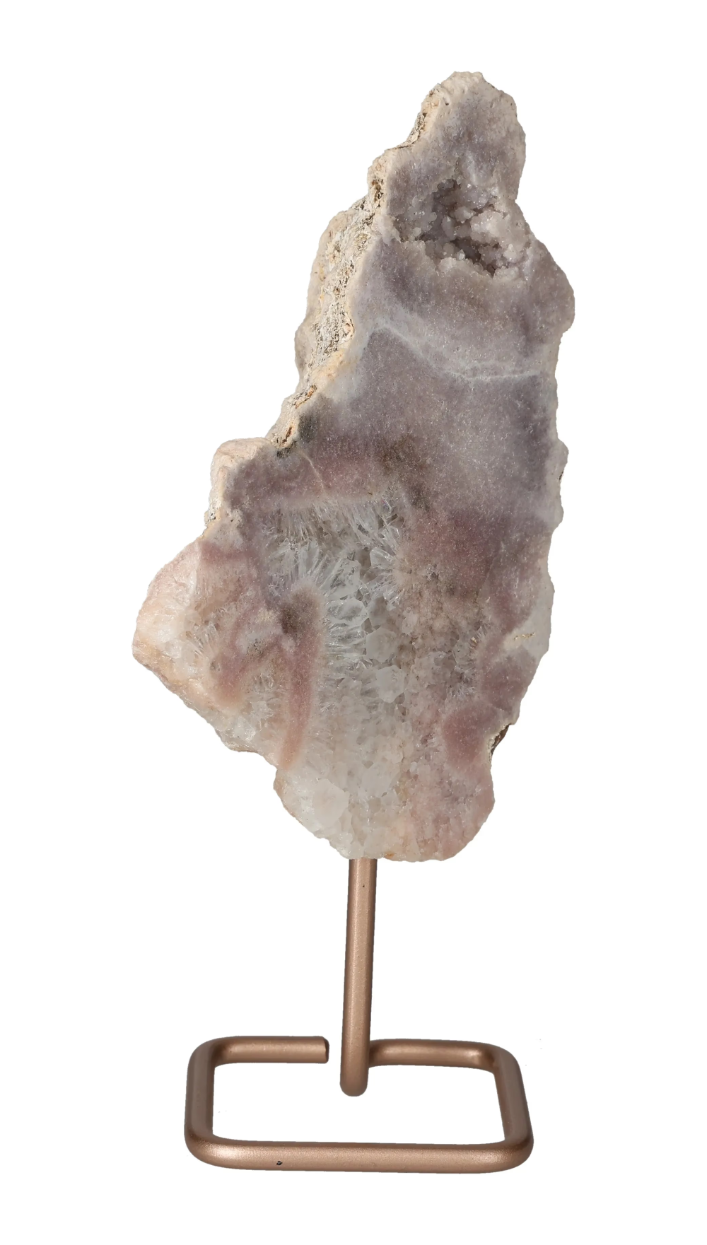 orbitvu|type:image2d