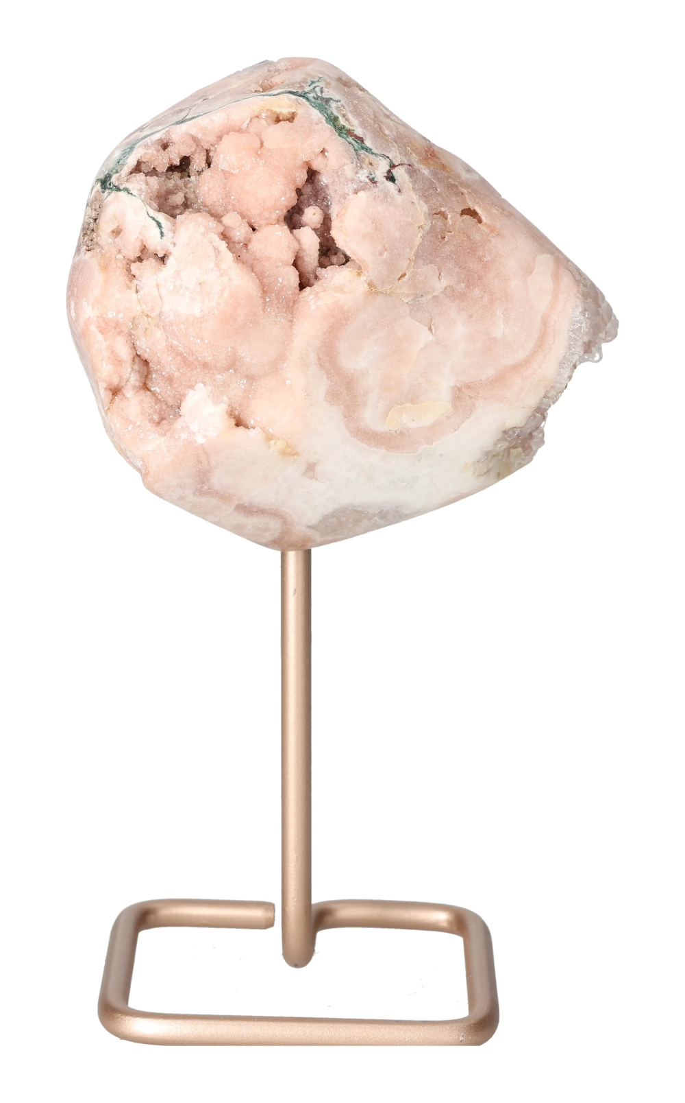 orbitvu|type:image2d