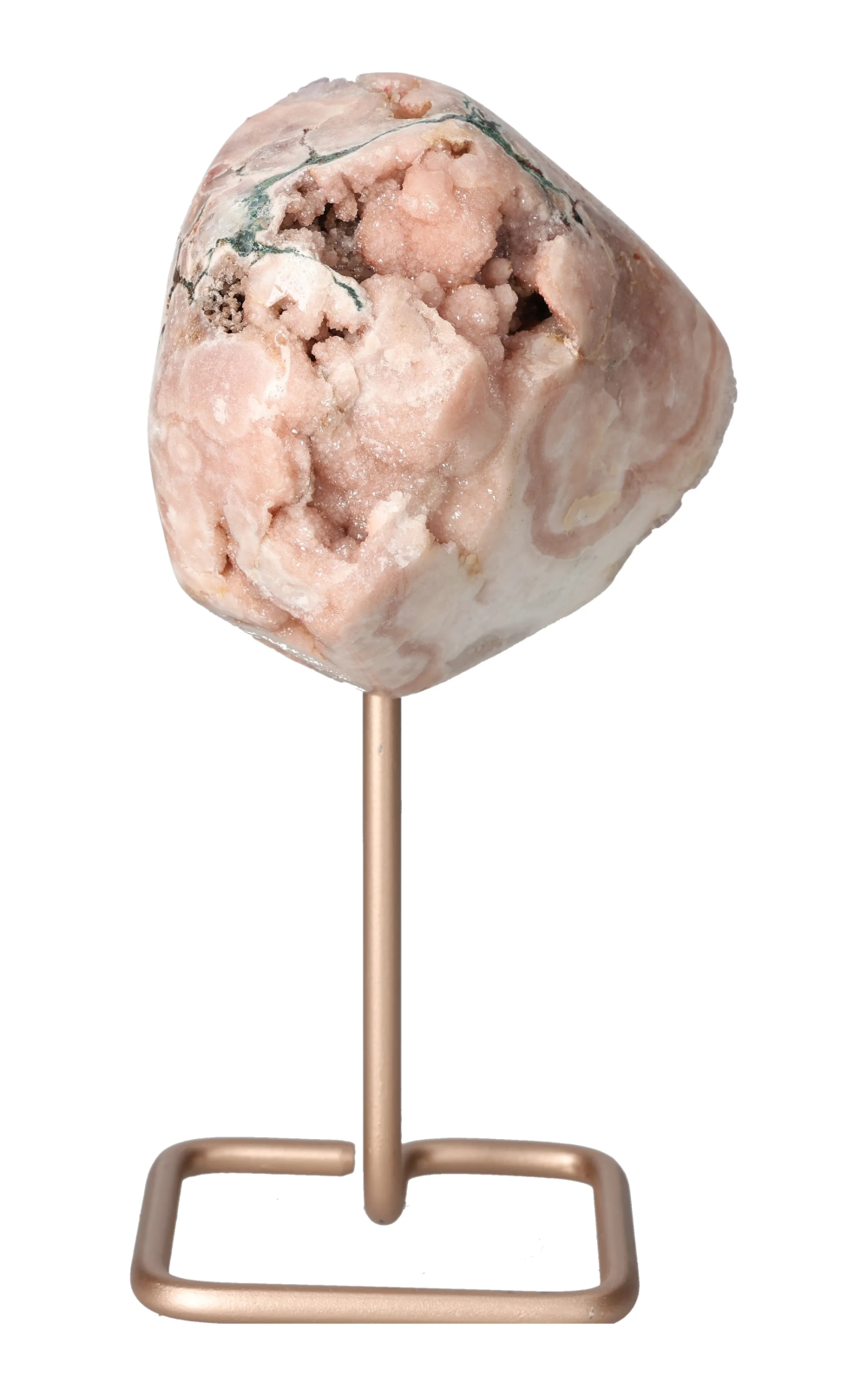 orbitvu|type:image2d