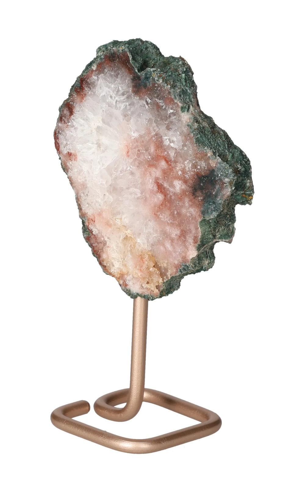 orbitvu|type:image2d