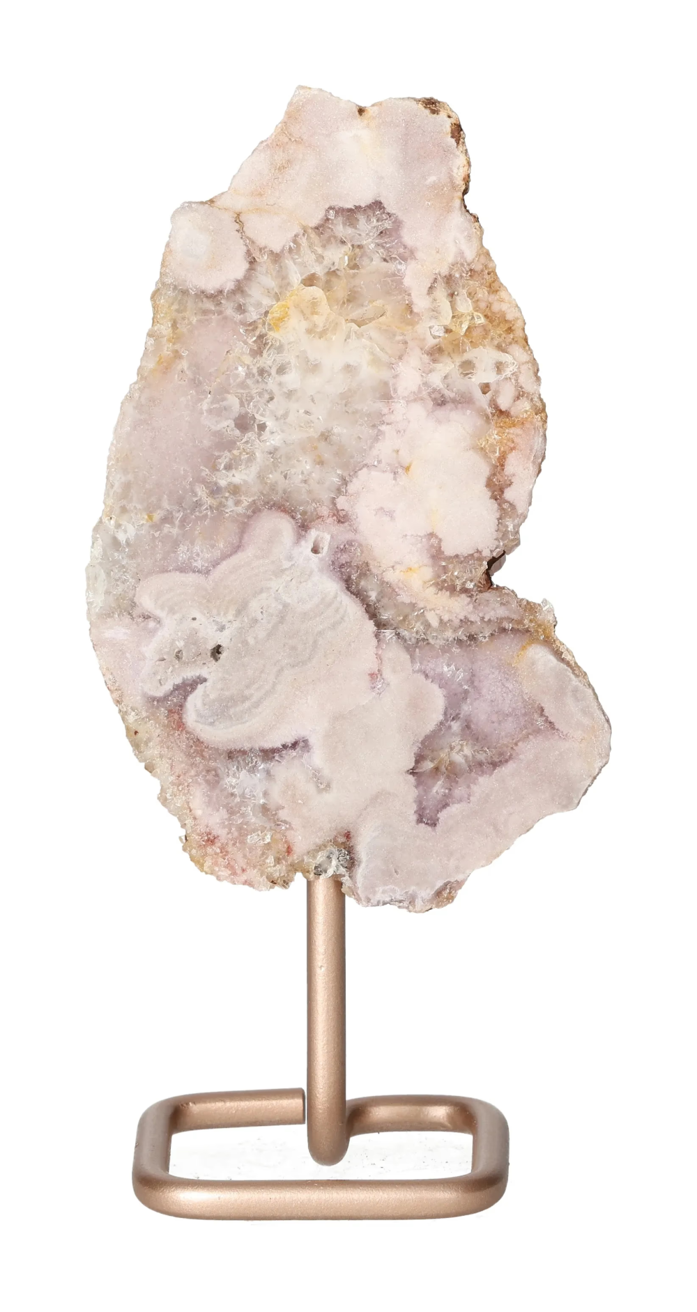 orbitvu|type:image2d