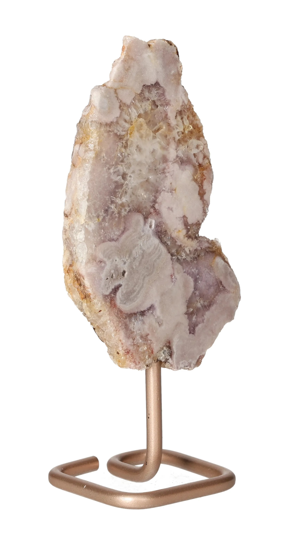 orbitvu|type:image2d