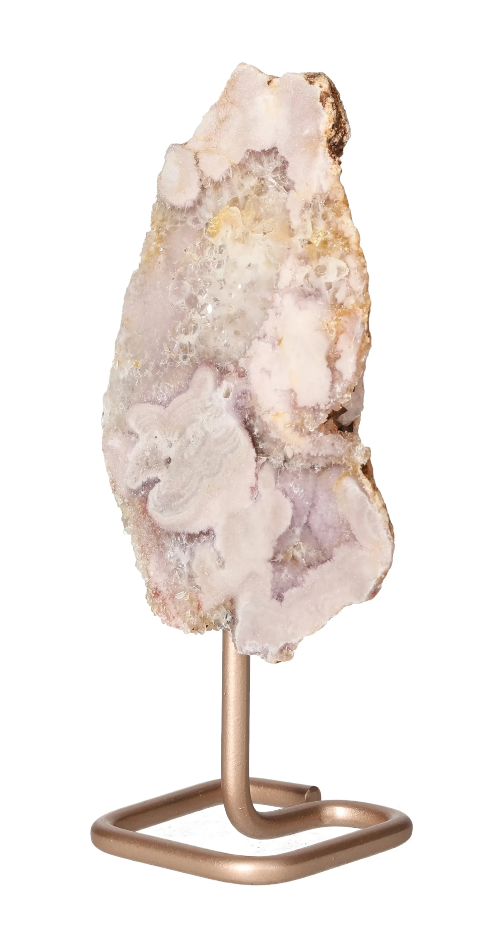 orbitvu|type:image2d