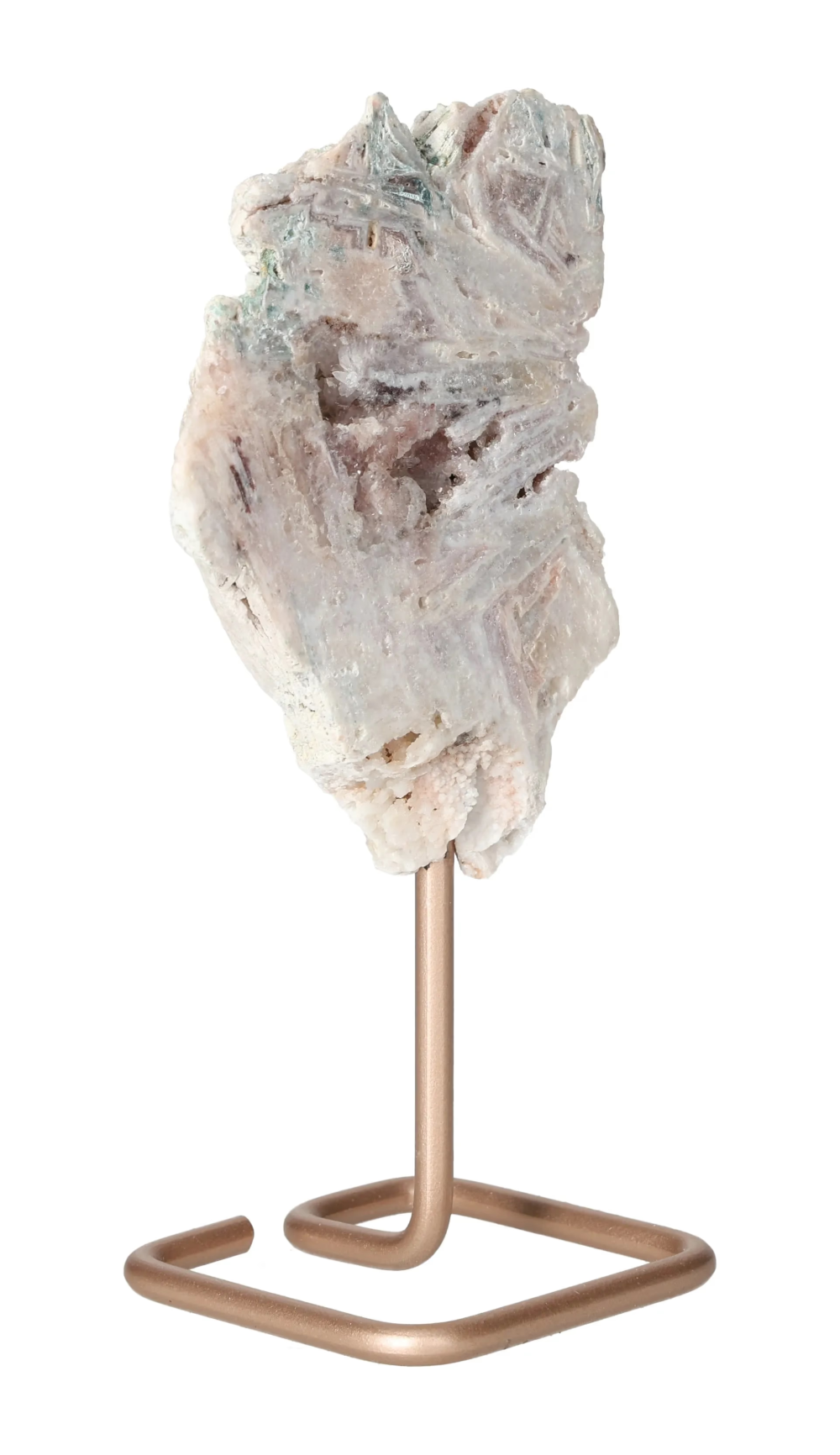 orbitvu|type:image2d