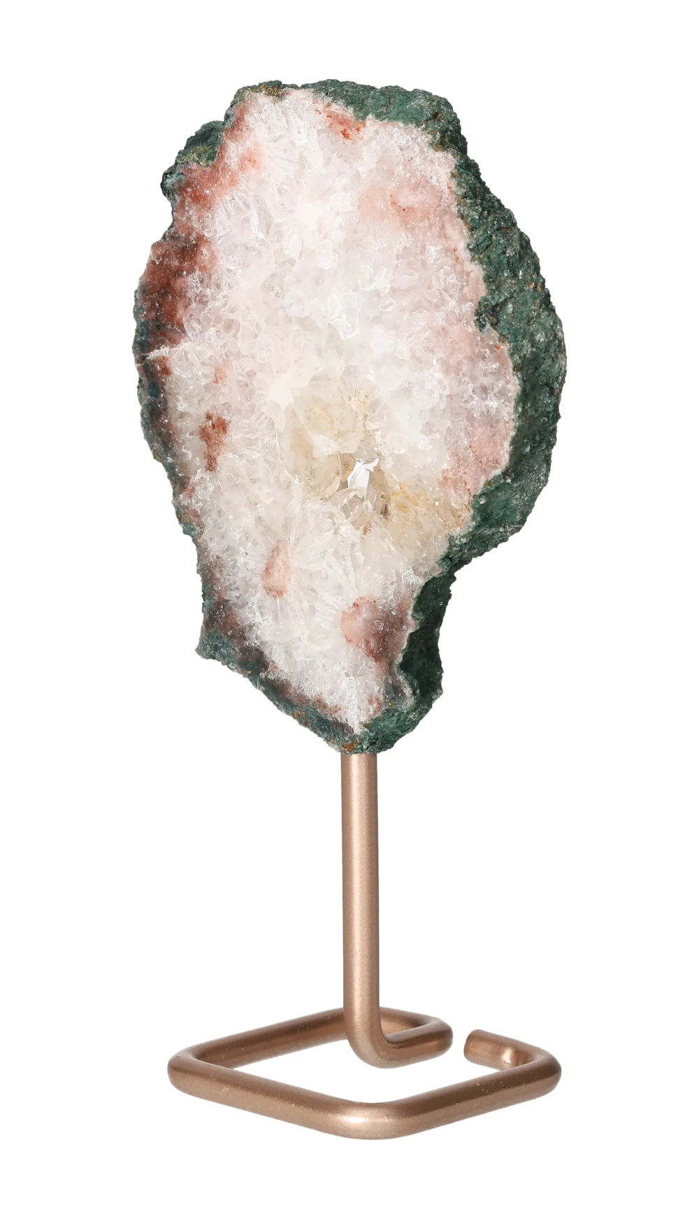 orbitvu|type:image2d