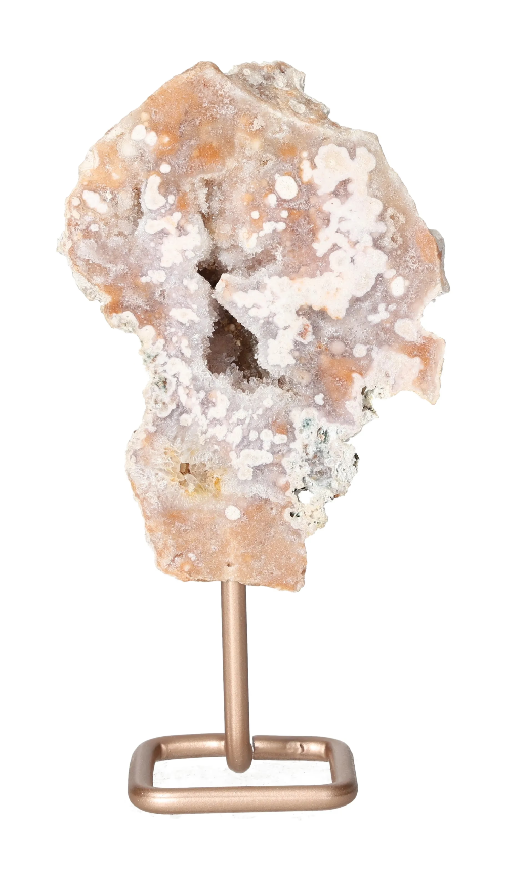 orbitvu|type:image2d