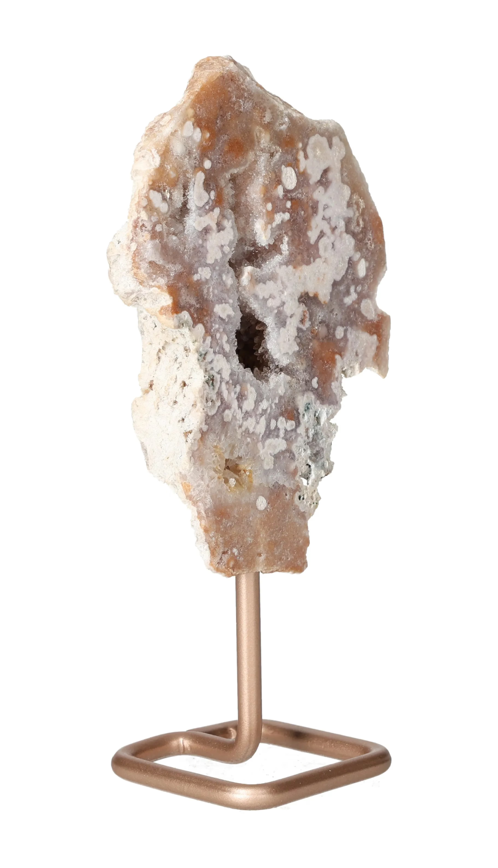 orbitvu|type:image2d