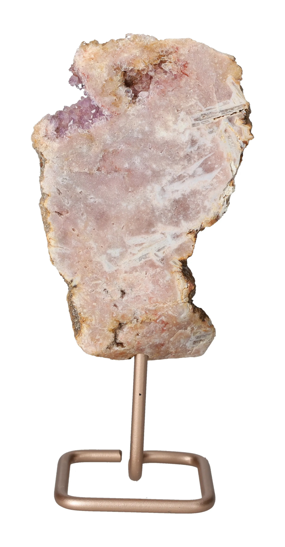 orbitvu|type:image2d