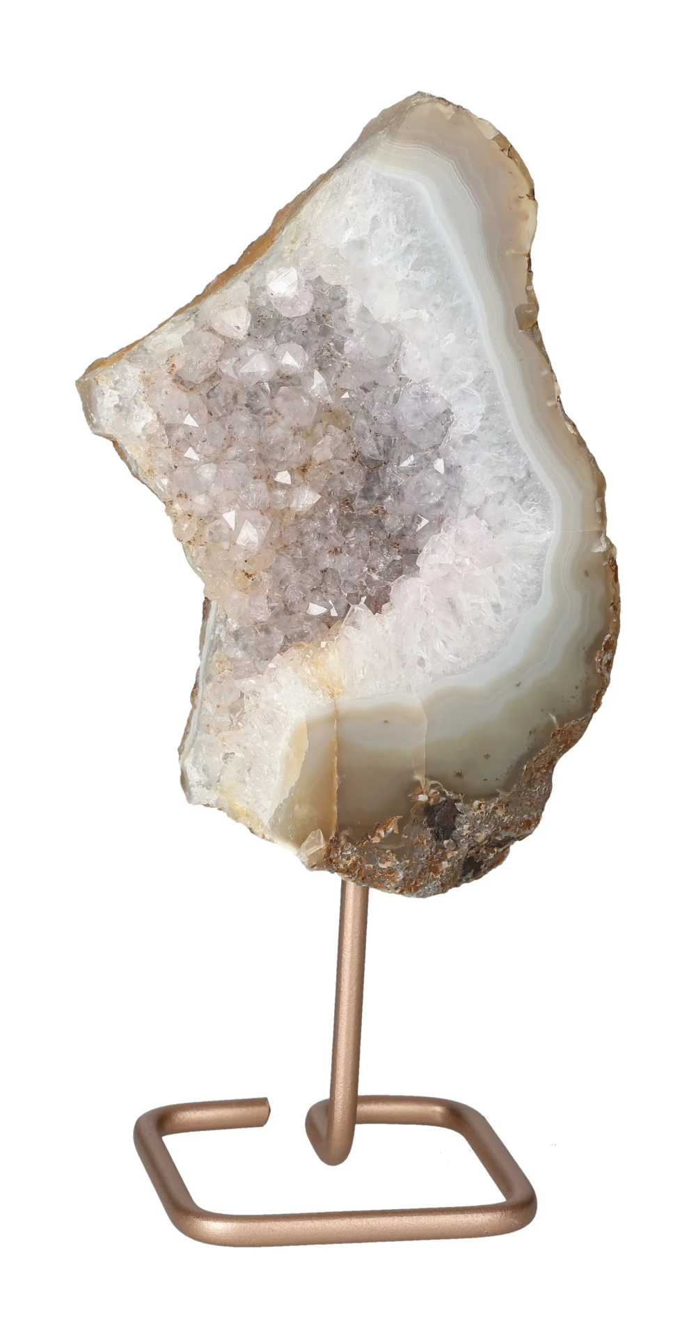 orbitvu|type:image2d