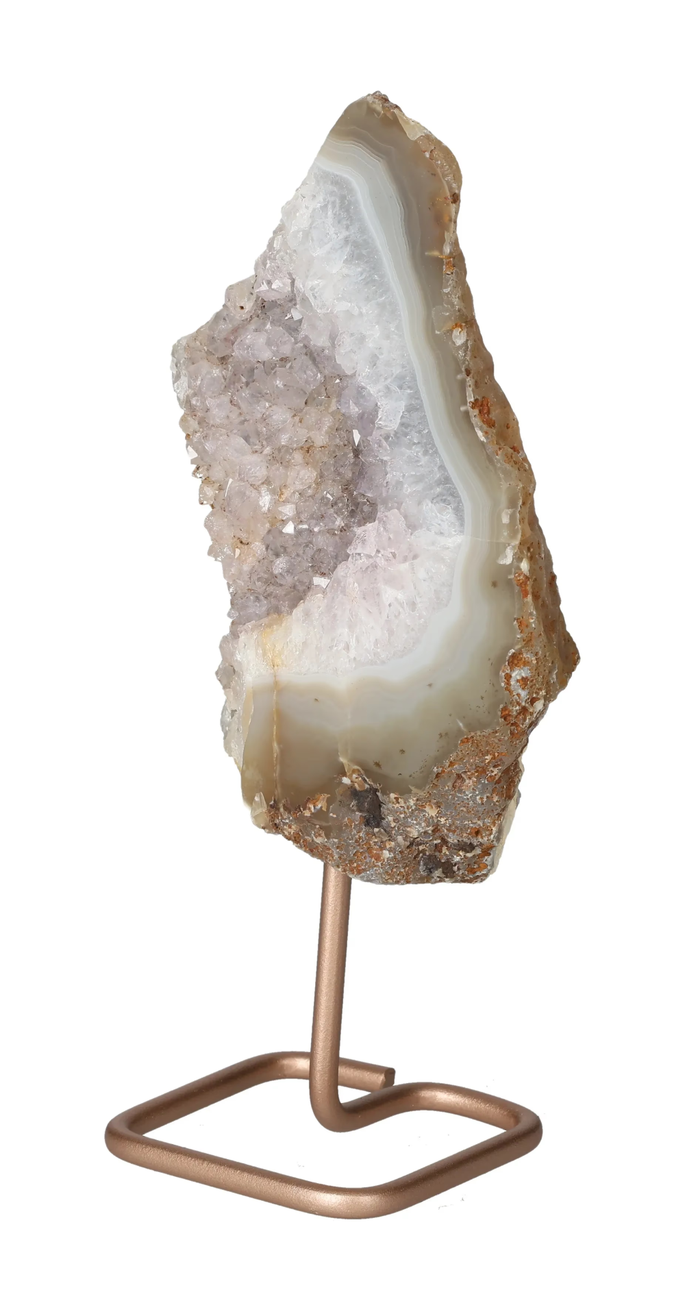 orbitvu|type:image2d