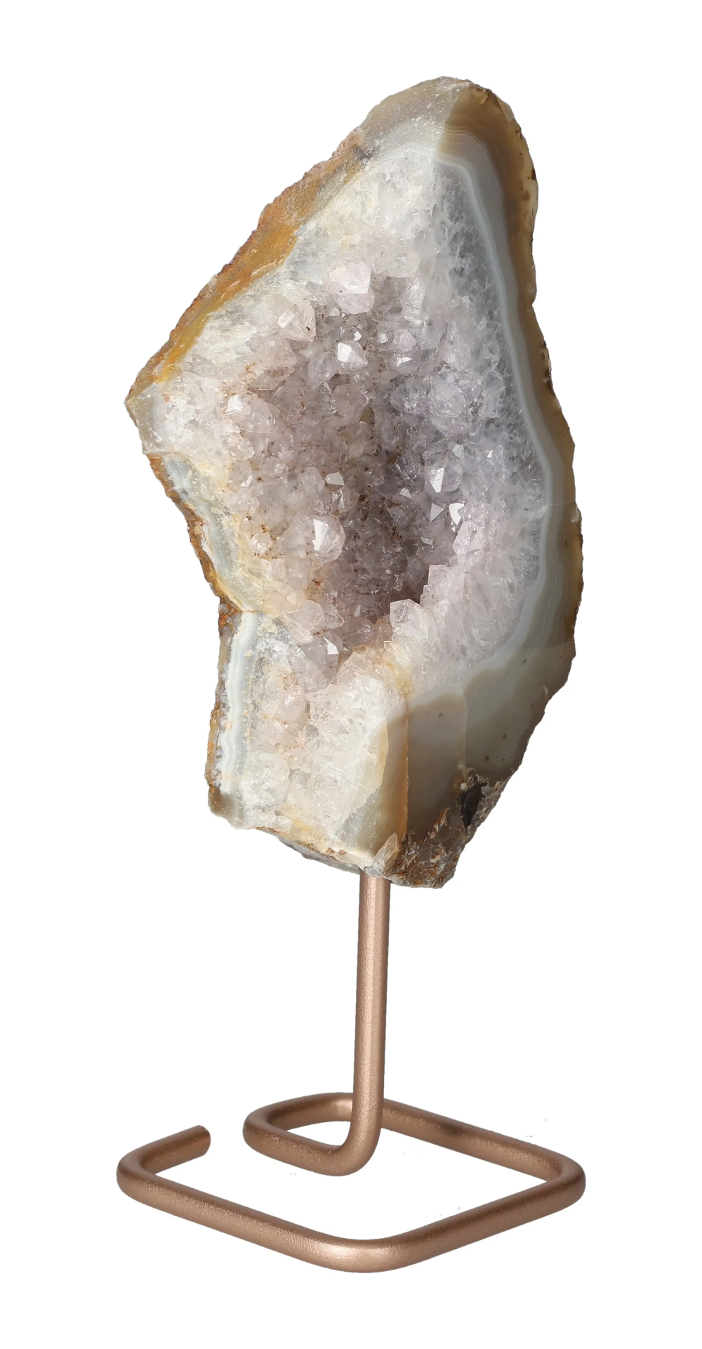 orbitvu|type:image2d