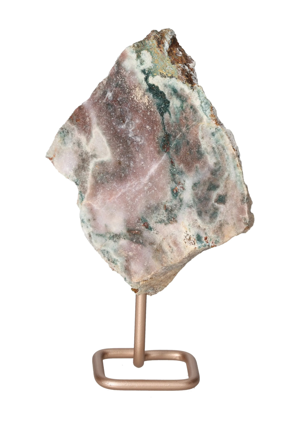 orbitvu|type:image2d