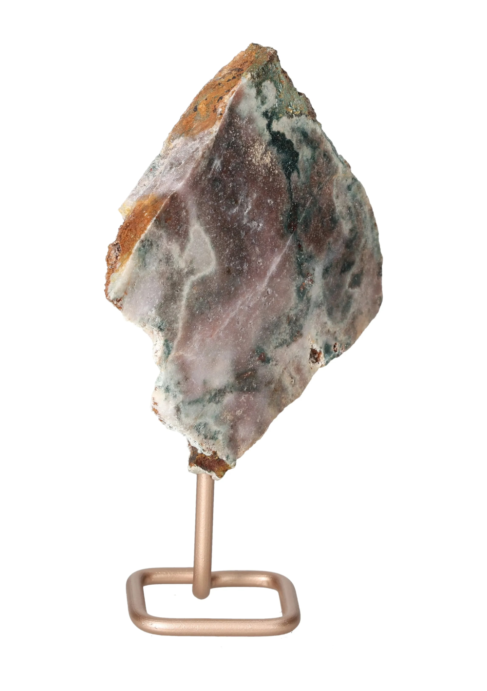 orbitvu|type:image2d