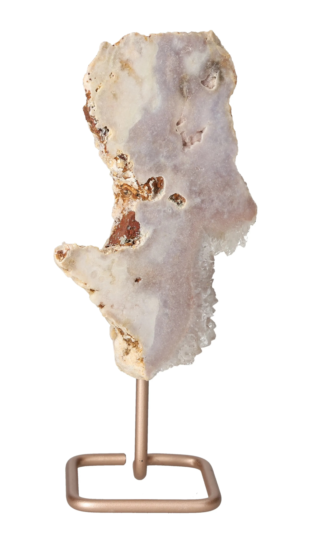 orbitvu|type:image2d