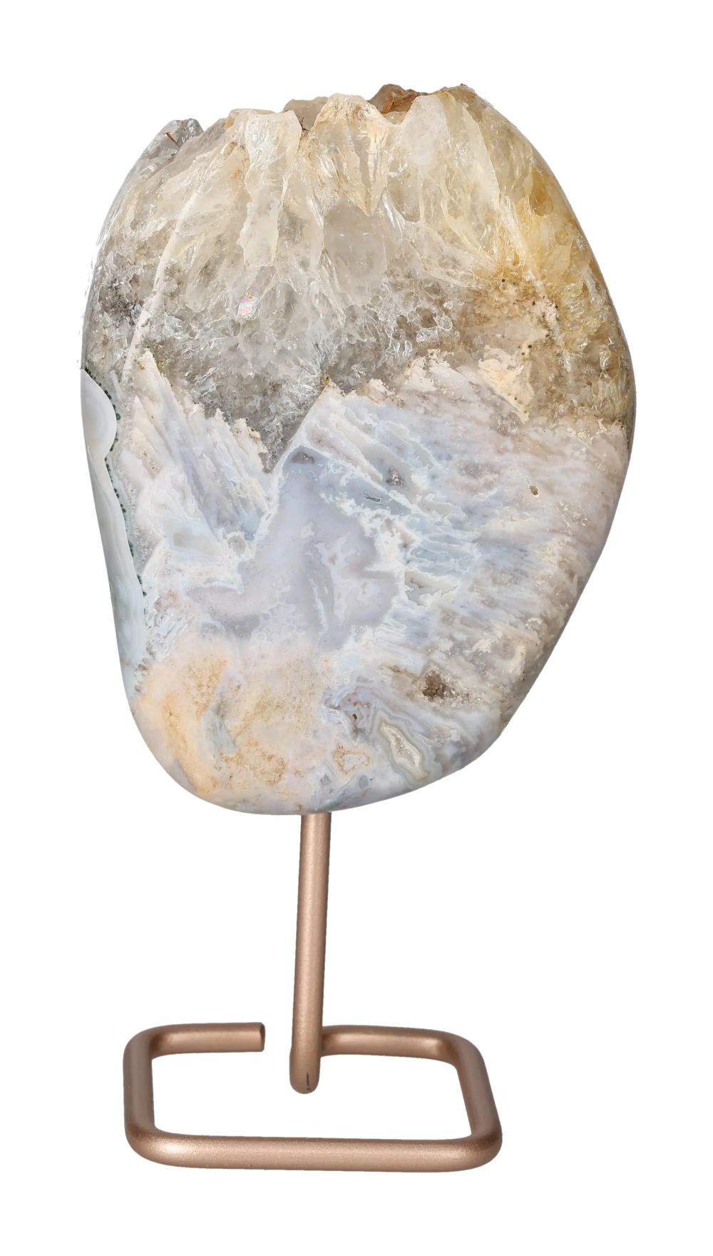 orbitvu|type:image2d