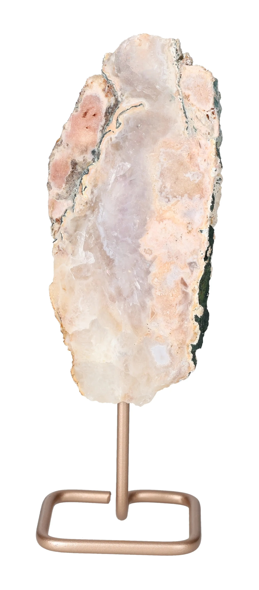 orbitvu|type:image2d