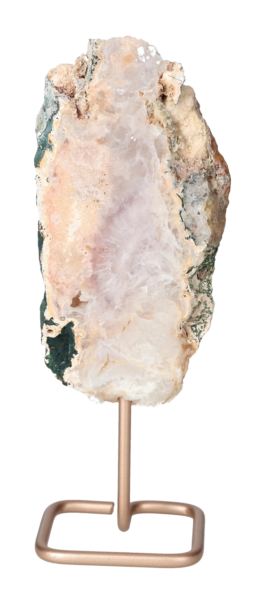 orbitvu|type:image2d