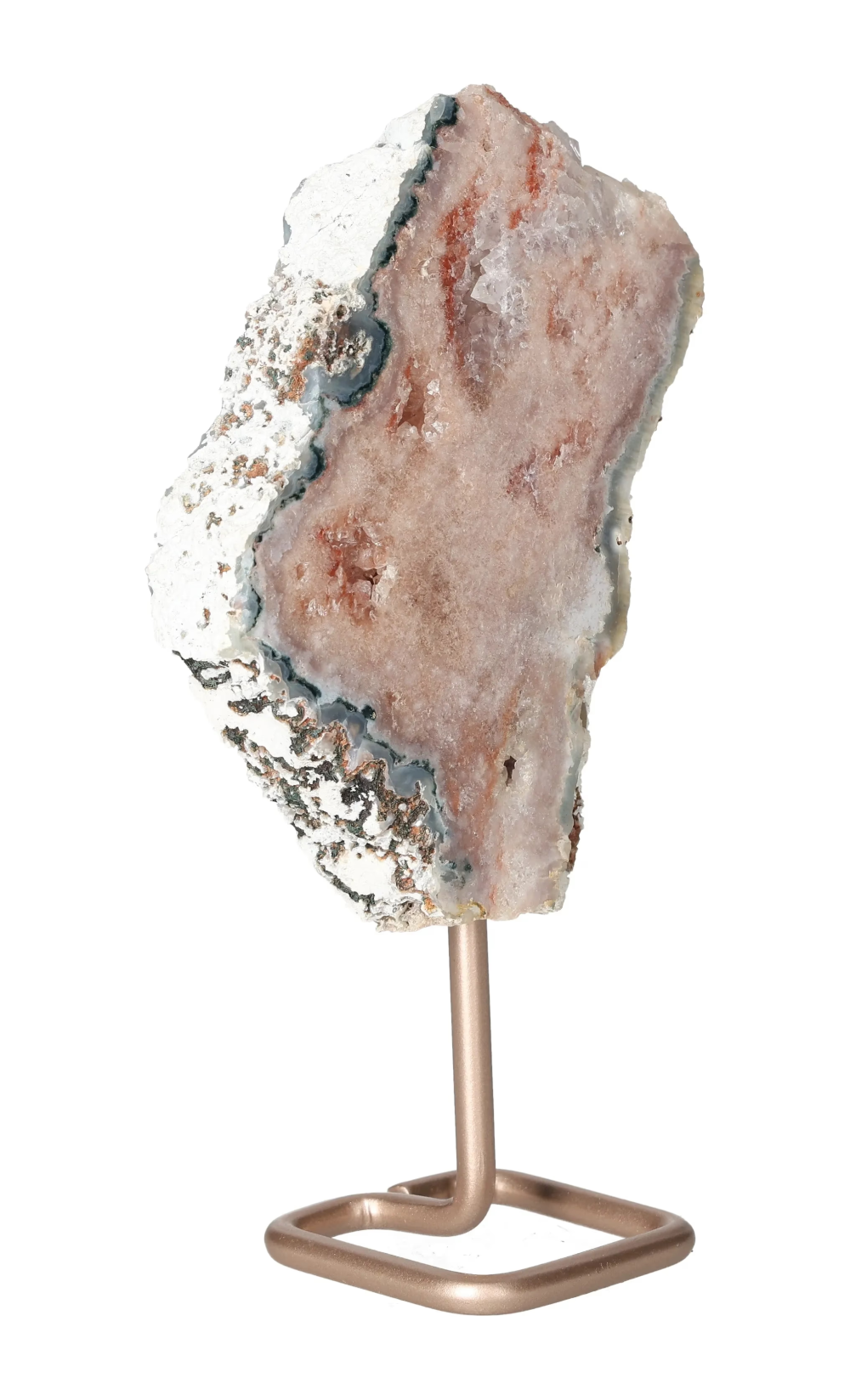 orbitvu|type:image2d