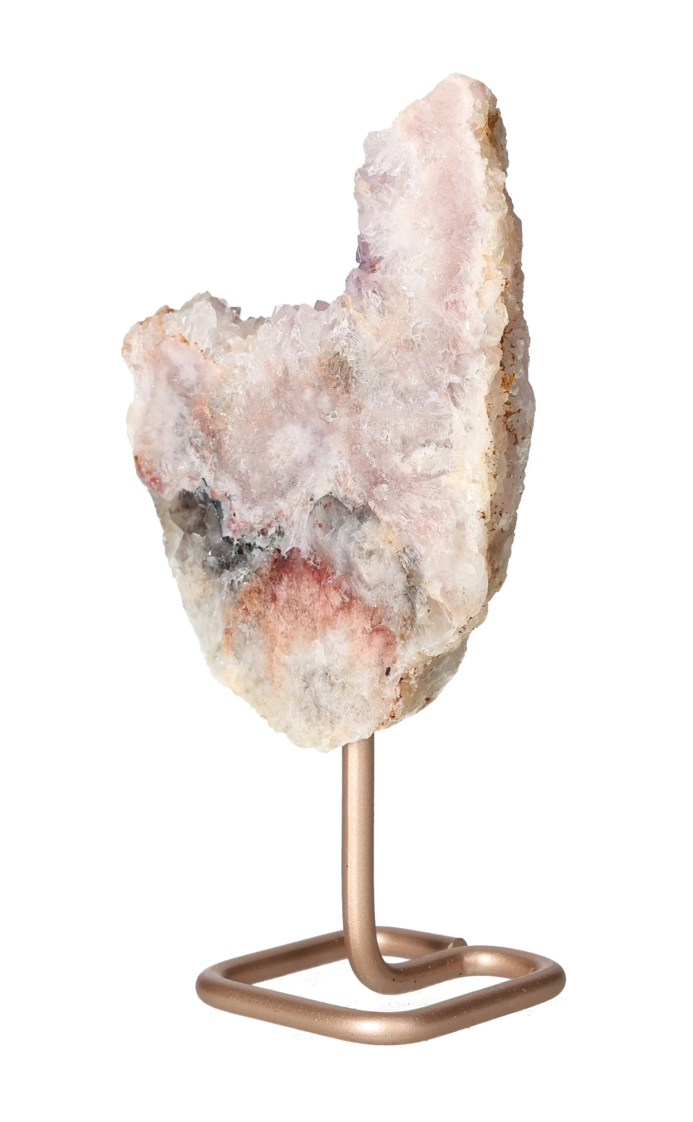 orbitvu|type:image2d