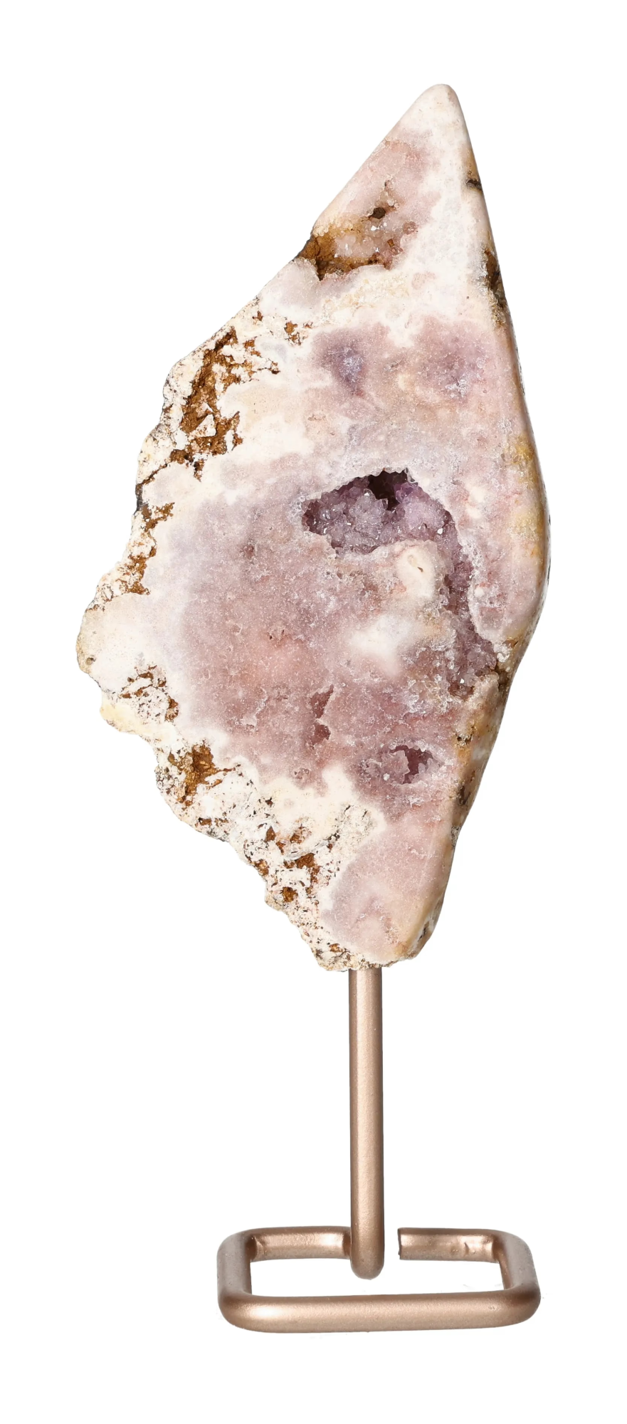 orbitvu|type:image2d