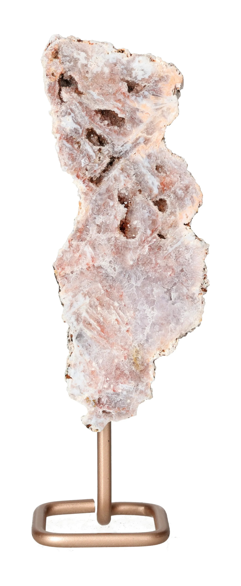 orbitvu|type:image2d