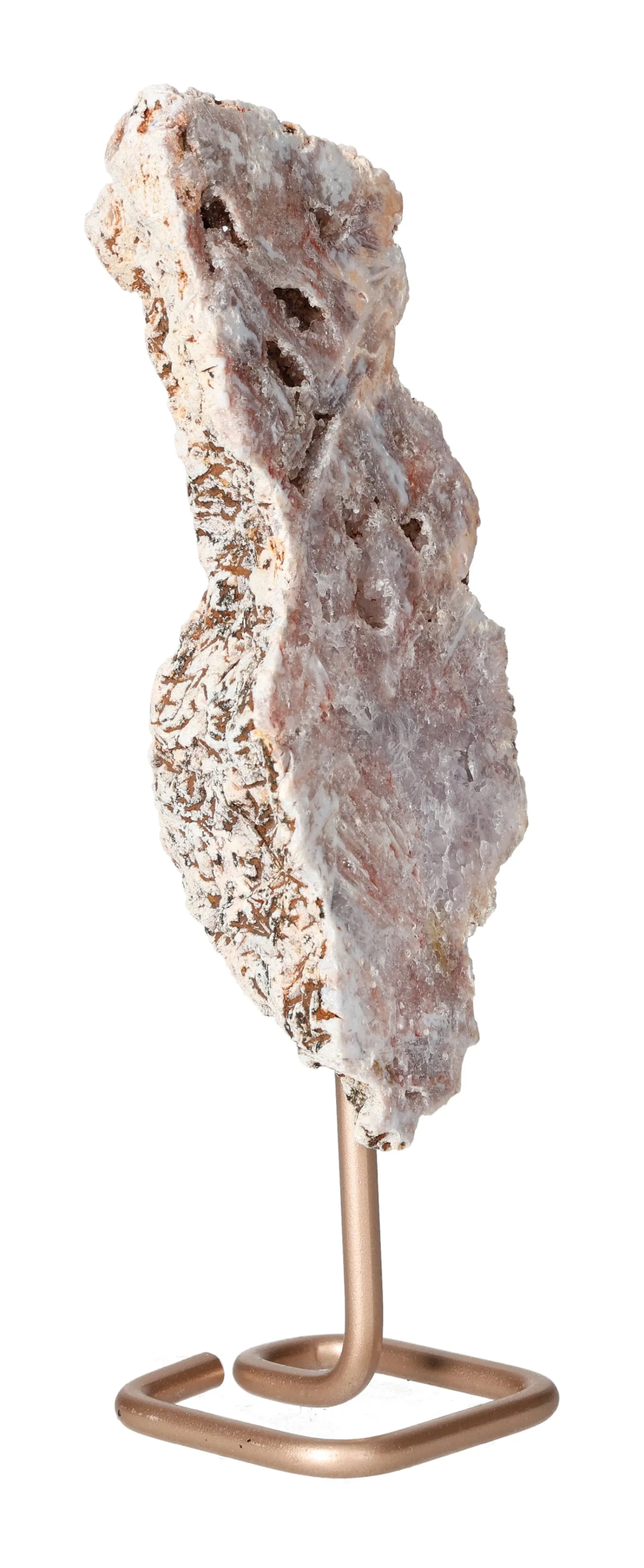 orbitvu|type:image2d