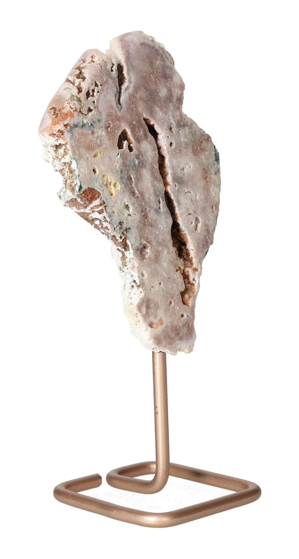 orbitvu|type:image2d