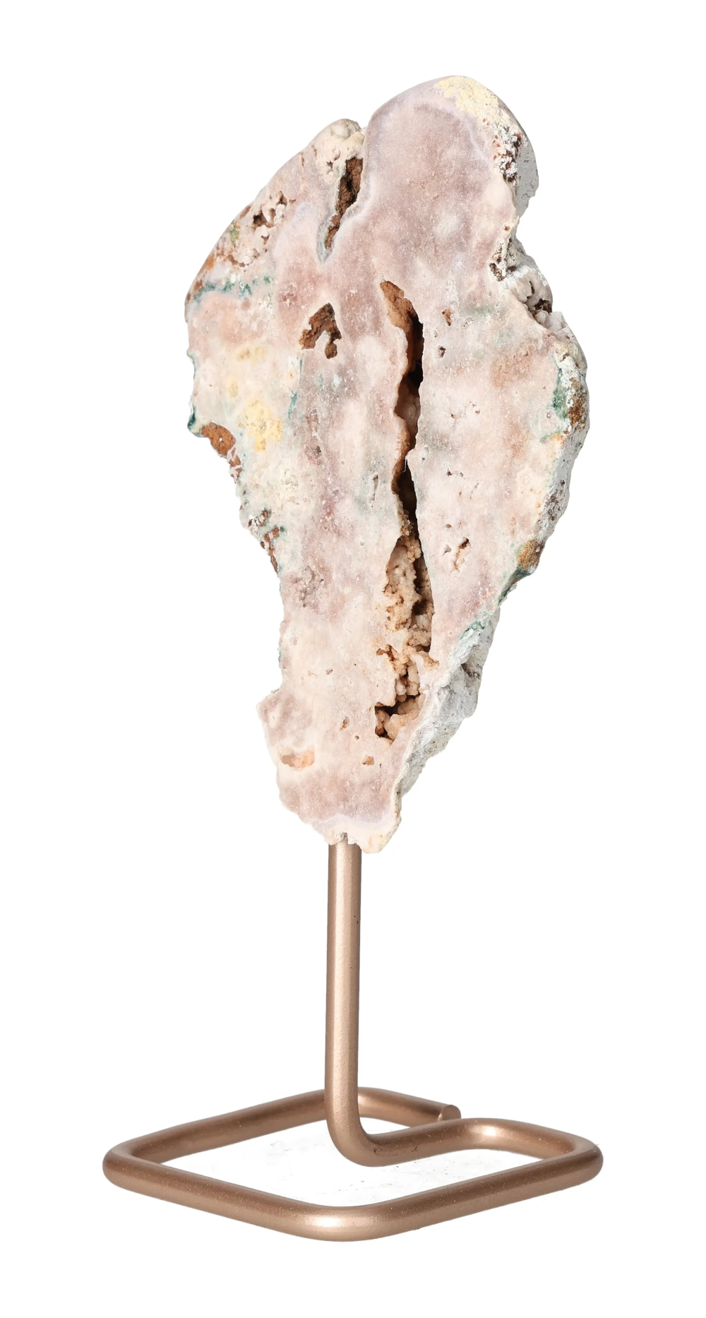 orbitvu|type:image2d