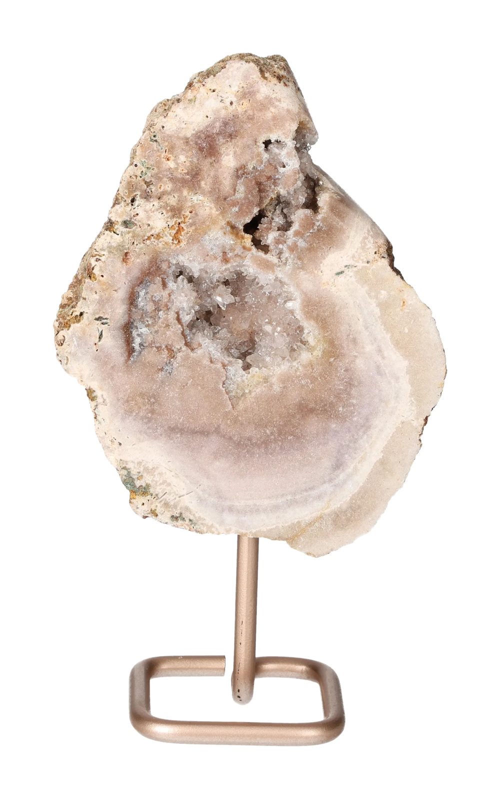 orbitvu|type:image2d