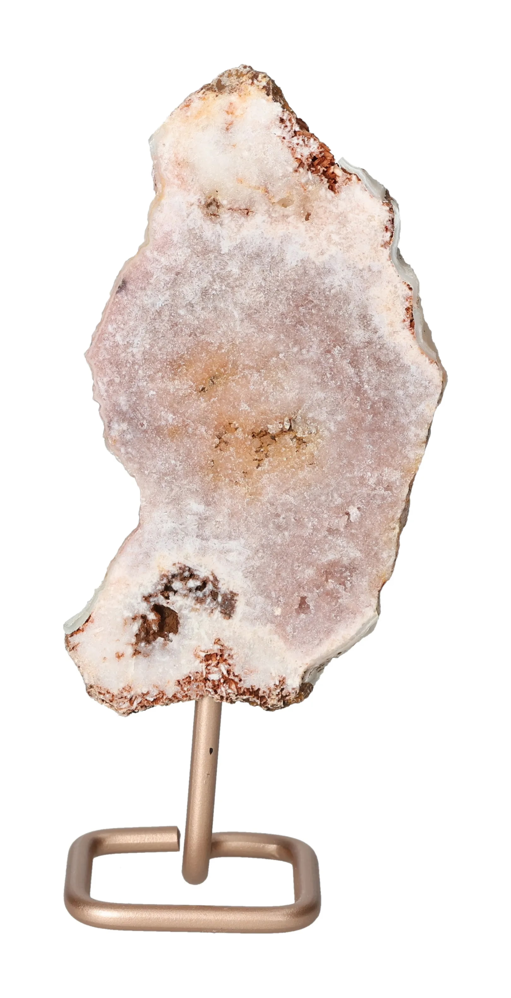 orbitvu|type:image2d