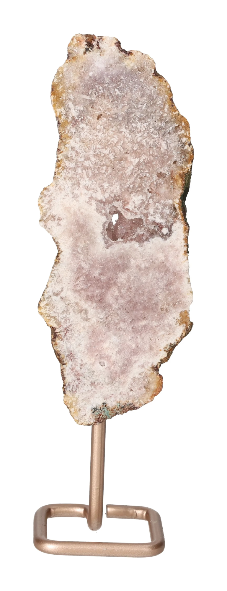 orbitvu|type:image2d