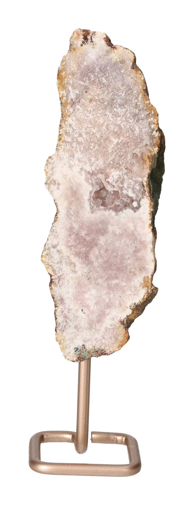 orbitvu|type:image2d