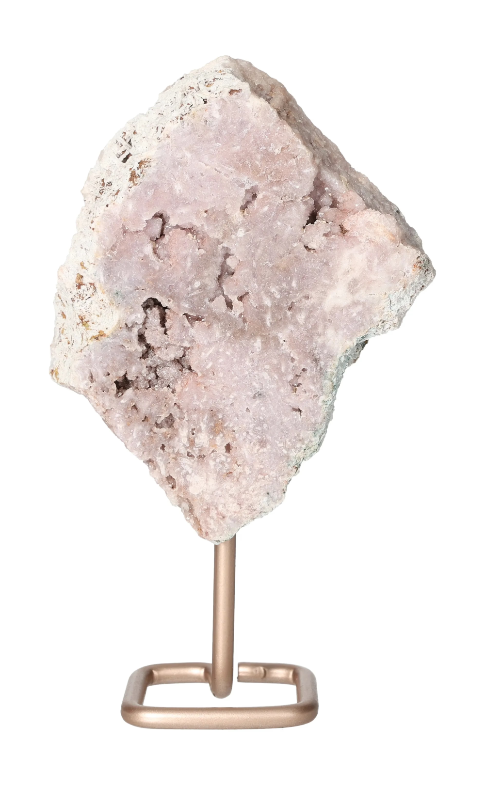 orbitvu|type:image2d