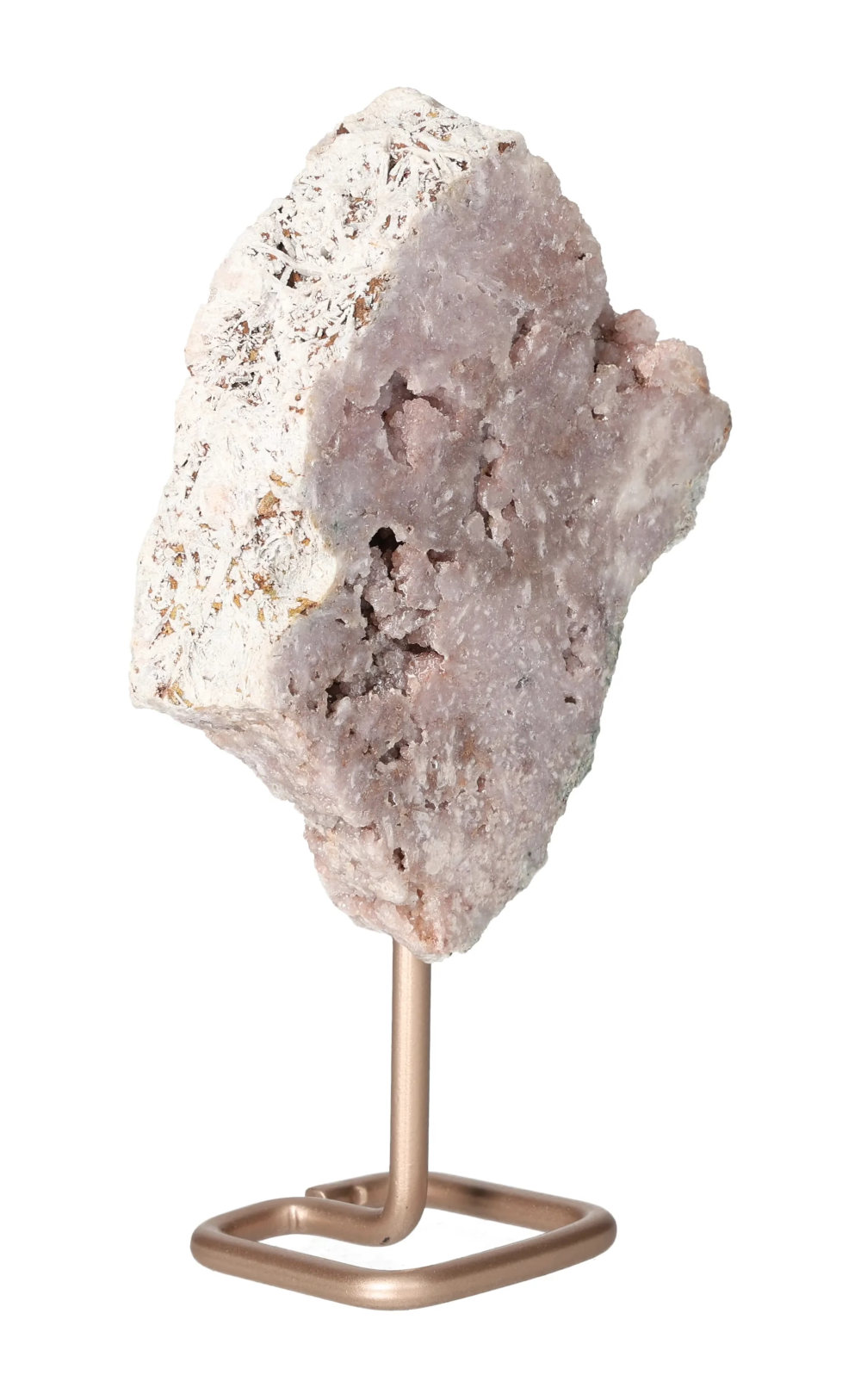 orbitvu|type:image2d