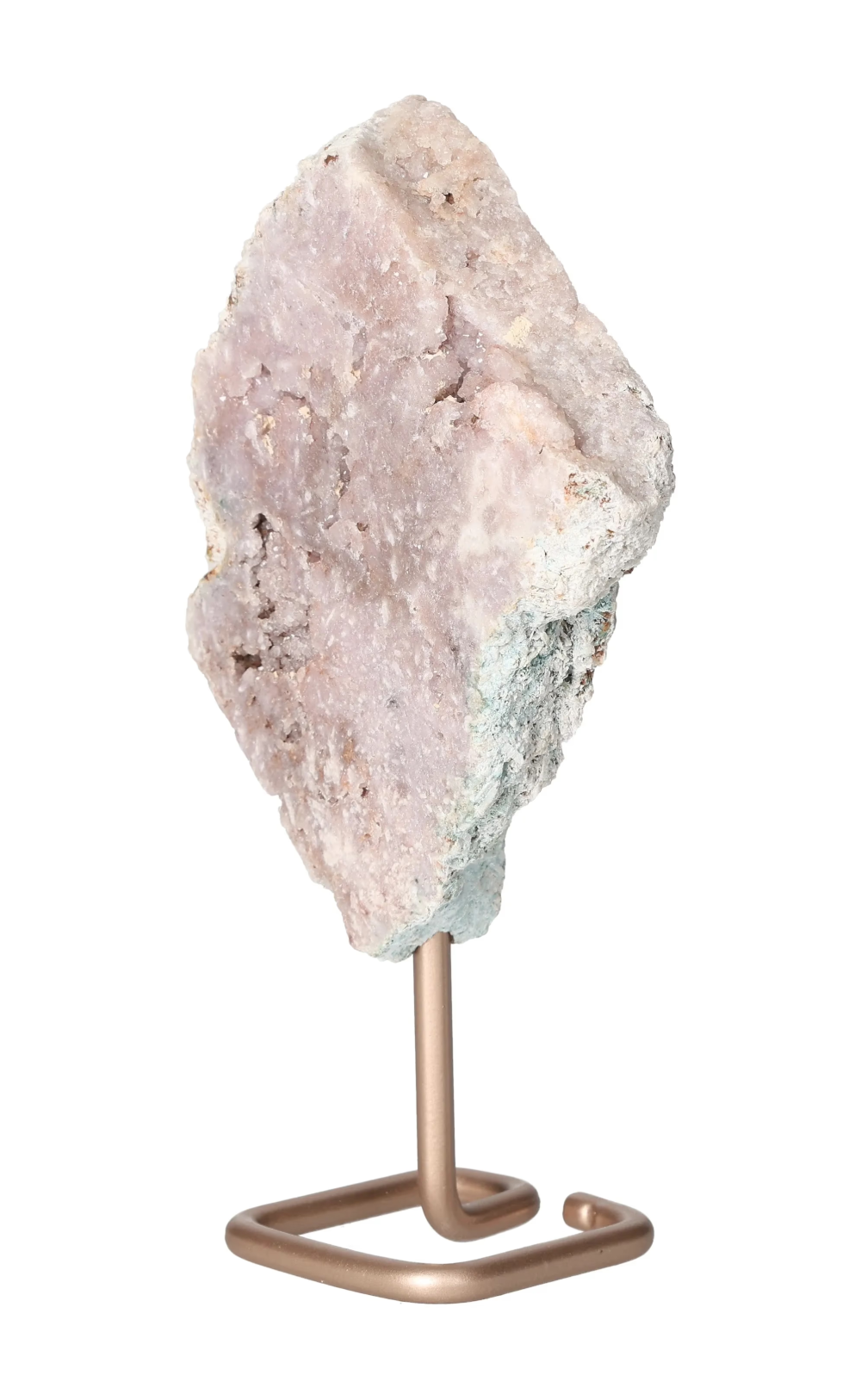 orbitvu|type:image2d