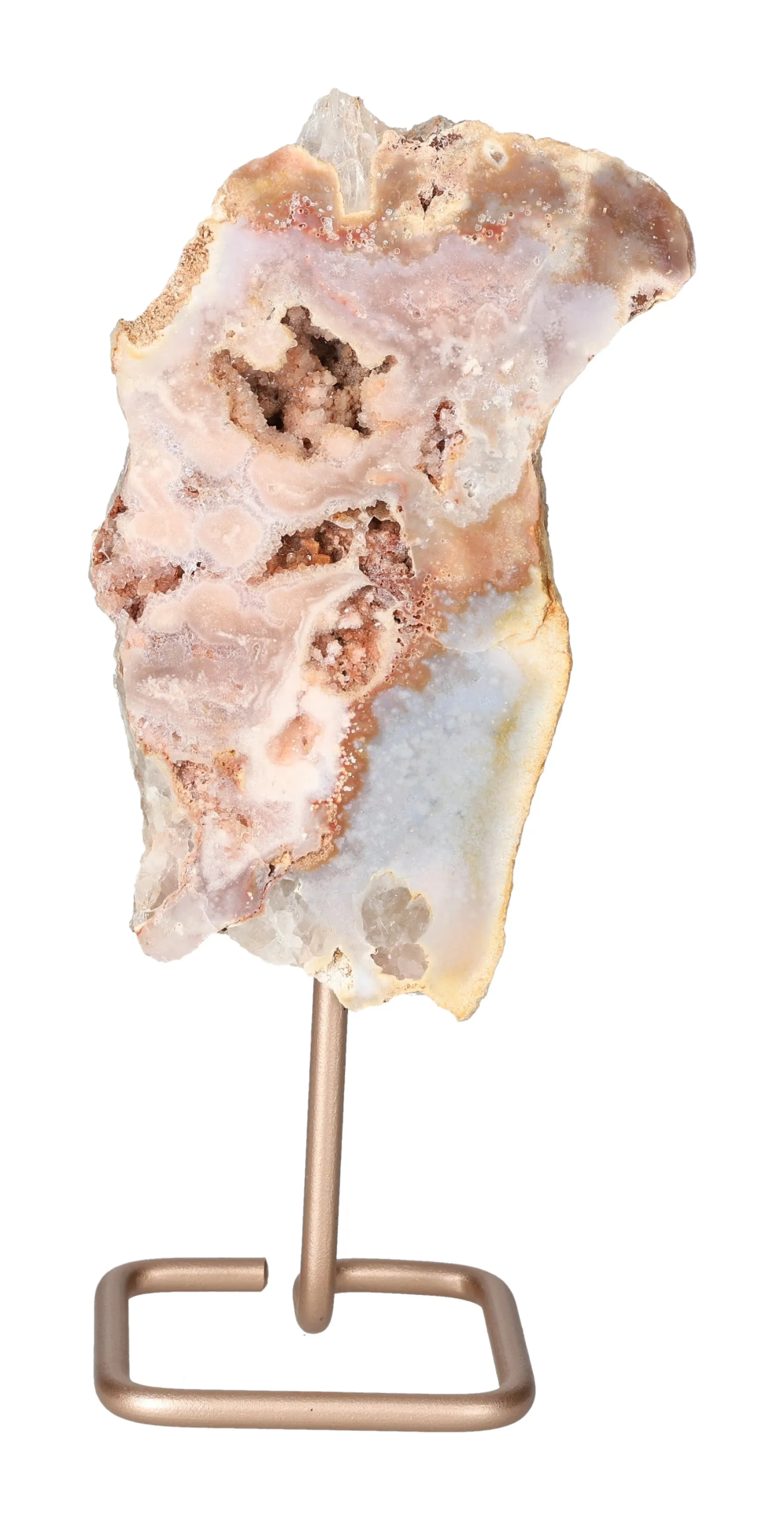 orbitvu|type:image2d