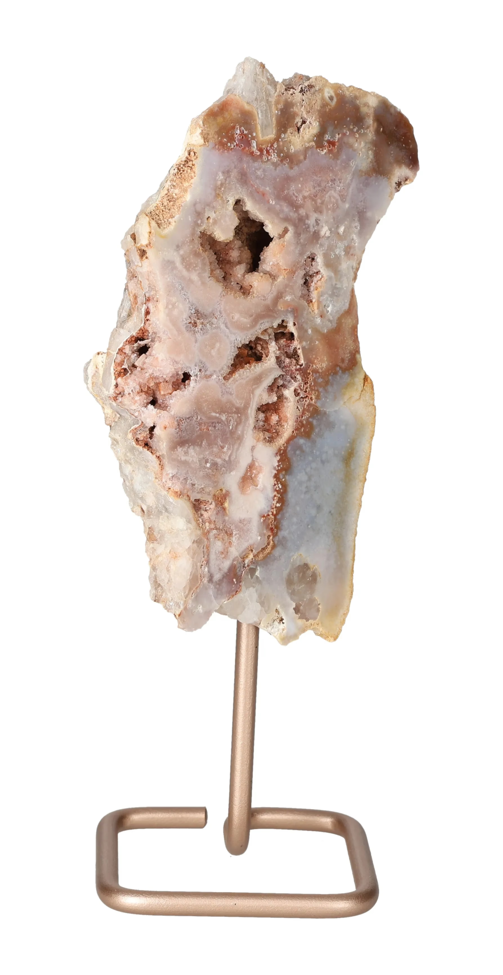 orbitvu|type:image2d