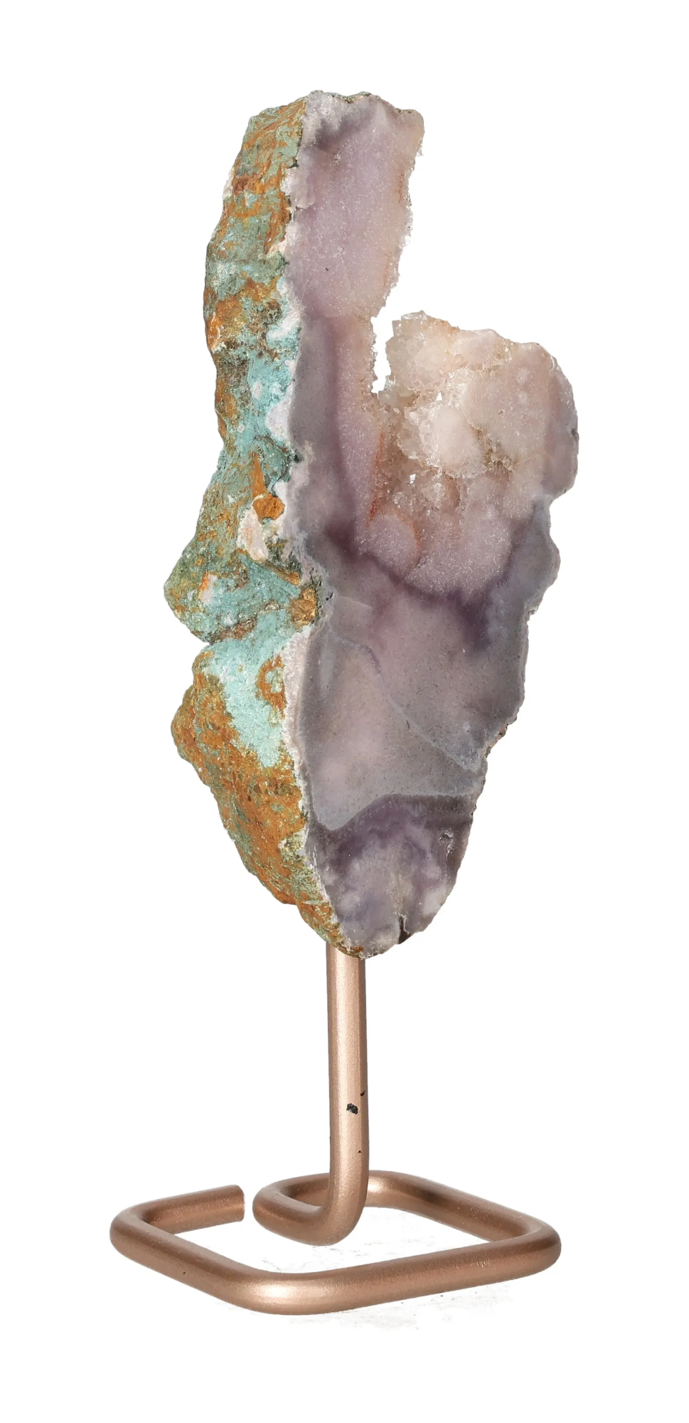 orbitvu|type:image2d