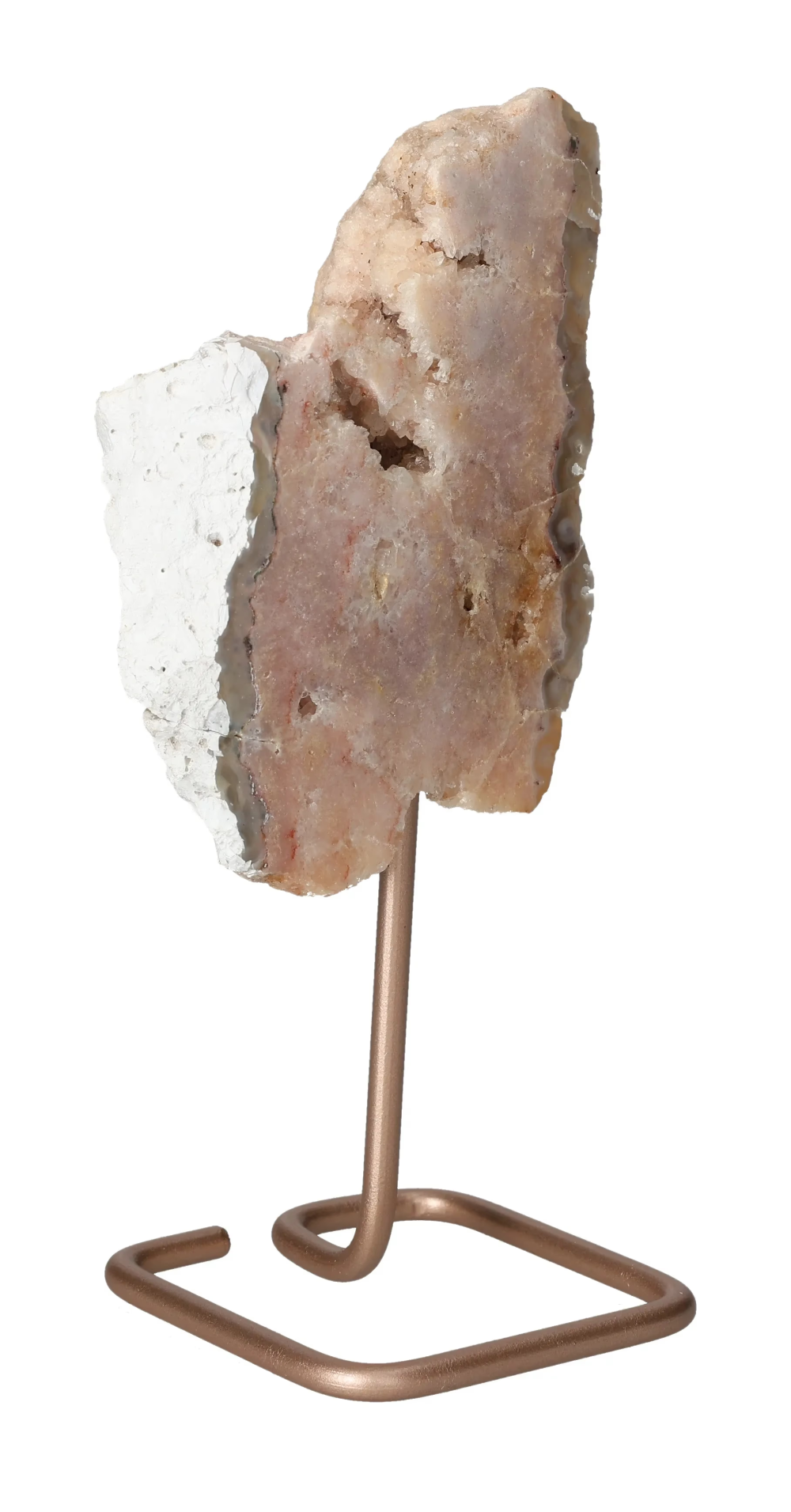 orbitvu|type:image2d