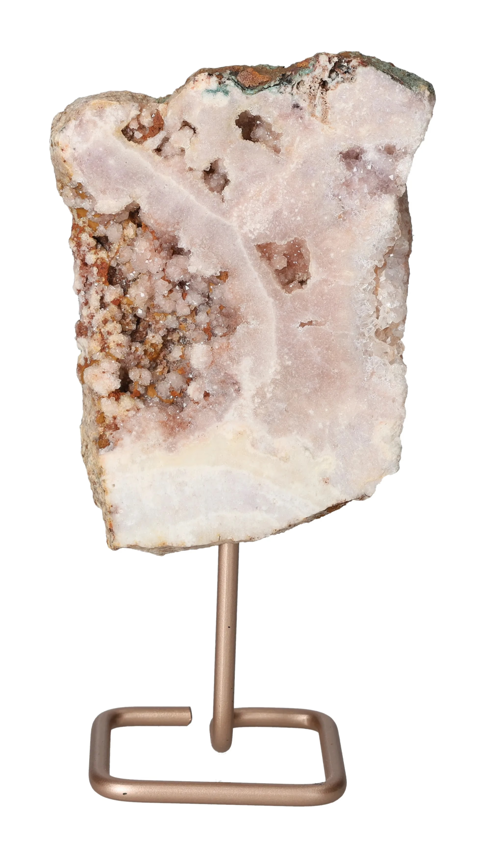 orbitvu|type:image2d