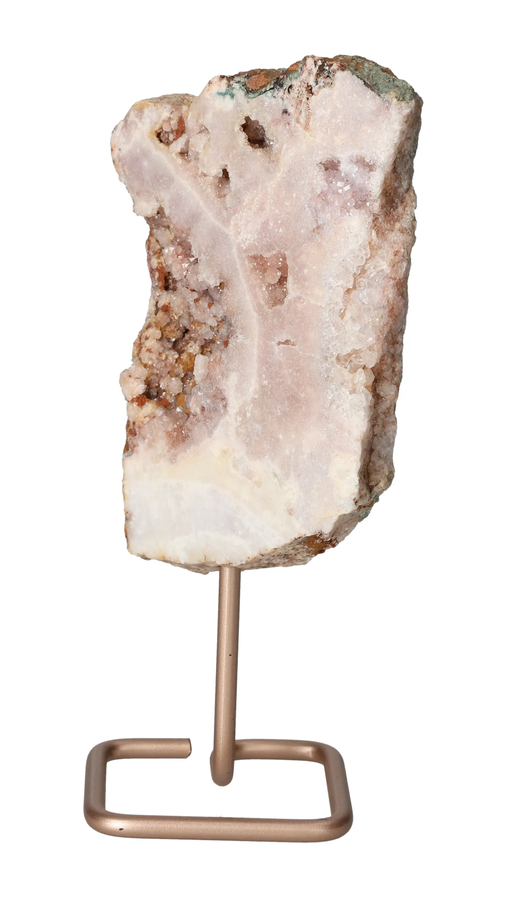 orbitvu|type:image2d