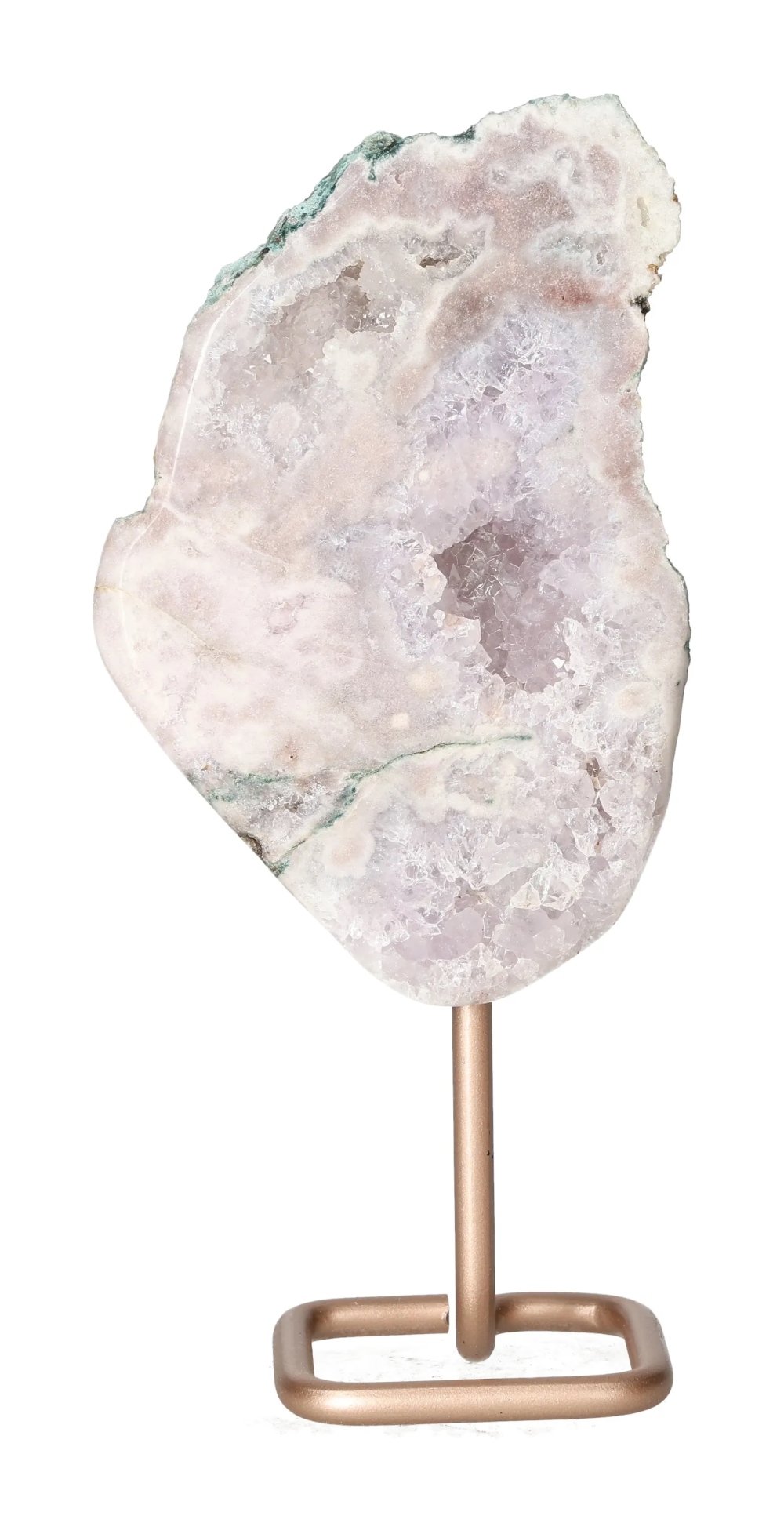 orbitvu|type:image2d