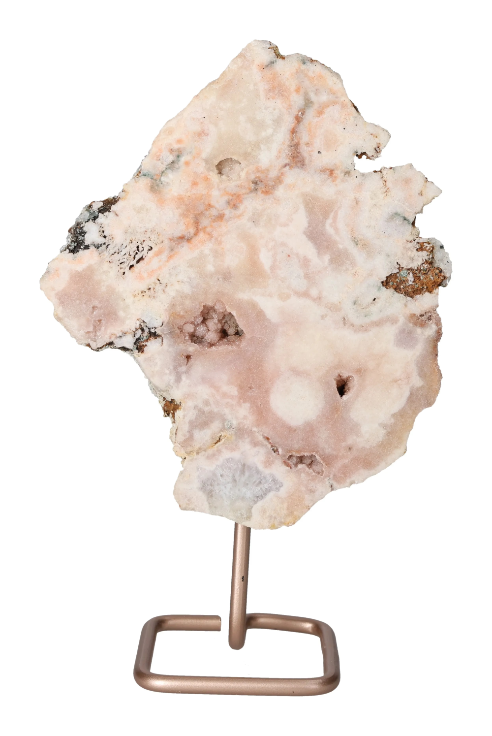 orbitvu|type:image2d